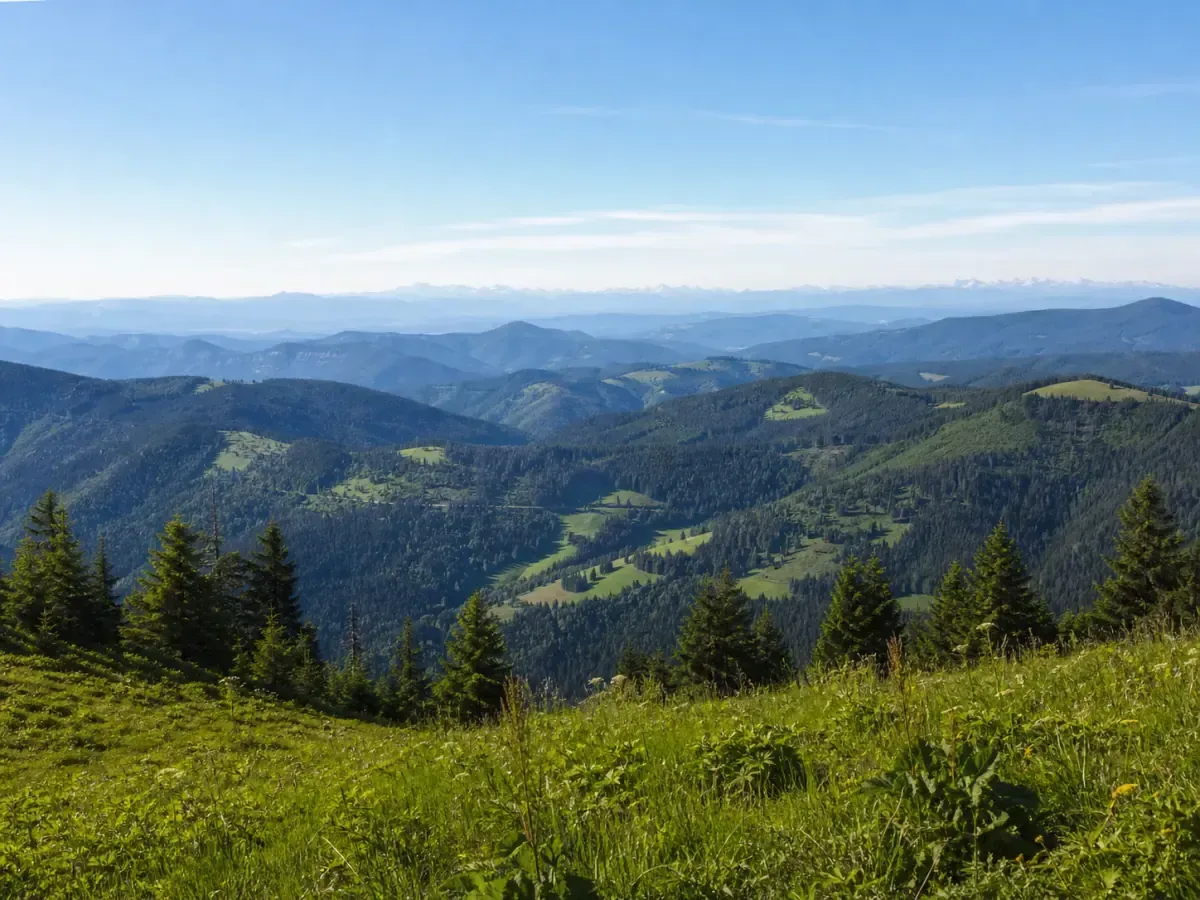 Panoramablick vom Belchen über den Südschwarzwald